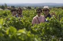 A la Française ! Provence