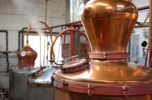 Maison Manguin - Distillerie Artisanale