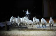 Cheval Passion - 35e édition