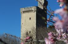 Turm Philippe le Bel