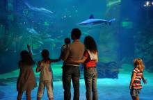 Seaquarium