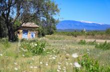 Die Terrassen des Ventoux