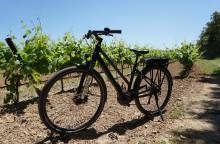 Sun-E-Bike