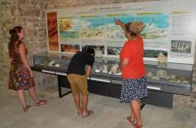 Musée de géologie