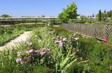 Le Jardin Romain de Caumont-sur-Durance