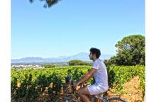 Rando-Vélo Gourmande dans le vignoble de (...)