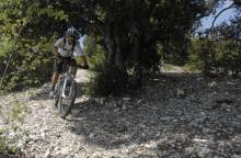 MTB Nr 7 - Tour durch das Pays d’Uchaux (...)