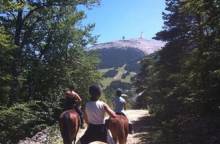 Les Crinières du Mont Ventoux