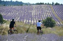 Mountainbikeroute - Land van de lavendel (...)