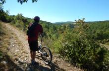 Sault - From Sault to Brouville - Mountain (...)