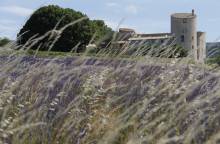 Le Château de la Gabelle