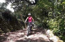 MTB no.61 - The Provence Plains