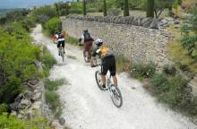 VTT n°50 - Col de Murs