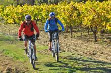 MTB trail no. 29 - Short tour of the Eze