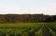 Domaine des Pasquiers