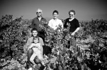 Domaine de Fontavin