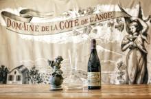 Domaine de la Côte de l'Ange