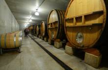 Vignobles Mayard