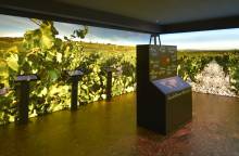 Wine Museum - Brotte