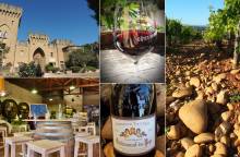 Animations autour du vin des Domaines Mousset Caves du Château des Fines Roches