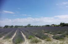 Cycle route: From the ancient stone of (...)