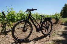 Sun e Bike