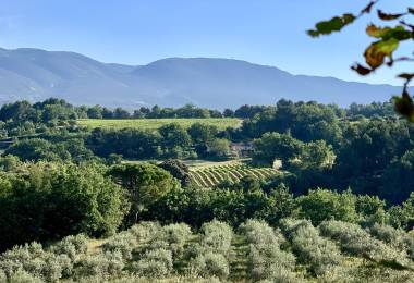 Moulin à Huile & Domaine Bastide du ...