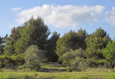Camping à la Ferme Roumavagi