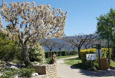 Camping Municipal Aéria