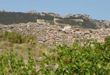 Circuit Pédestre : L'Oppidum Gallo-Romain
