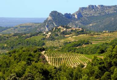 Secrets de vin au coeur des Dentelles de Montmirail