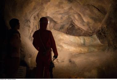 Musée du Monde Souterrain Collection ...