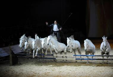 Cheval Passion - 35e édition