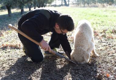 Espenon Truffes