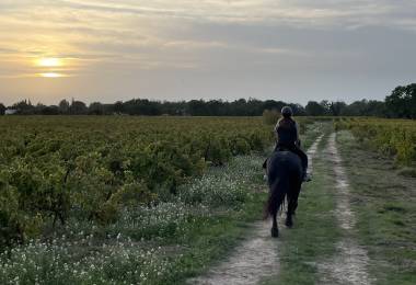 Centre Equestre "Les écuries de Mazan"