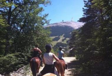 Les Crinières du Mont Ventoux