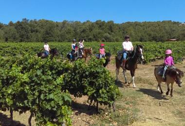 Centre équestre "le Poney Rouge"