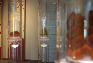 La Maison du Fruit Confit