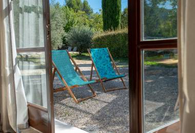 Grandeur Nature - Le Champ des Oliviers