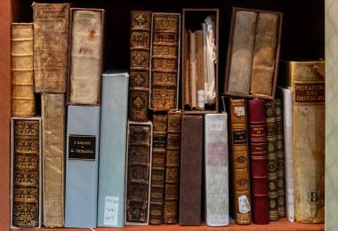 Musée Bibliothèque François Pétrarque