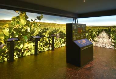 Musée du Vin - Maison Brotte