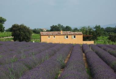L'Audane