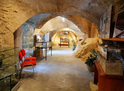 Musée Géologique et Archéologique
