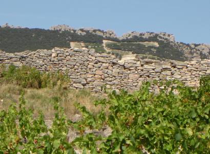 V05 Beaumes et le Plateau des Courens