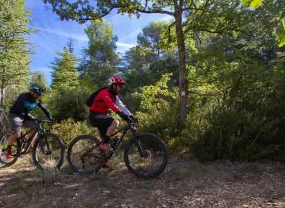VTT n°4 - Le Rat
