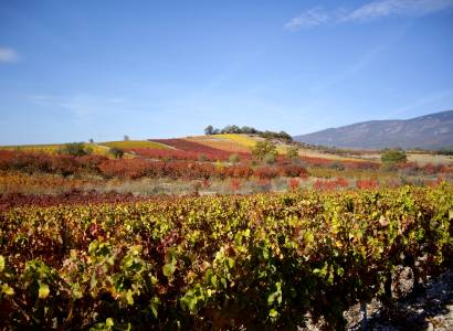Route des Vins - Le Piémont du Ventoux
