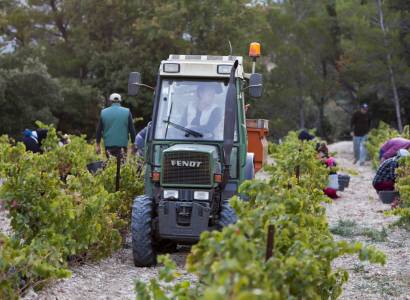 Domaine du Cayron