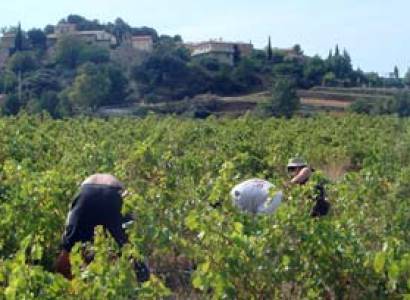 Domaine Chiniard