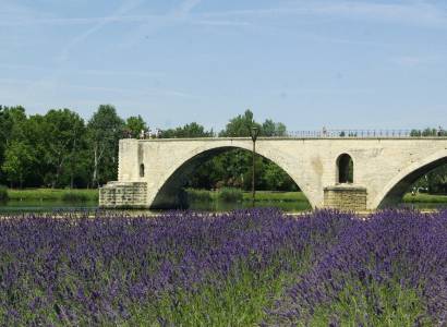 Pont d'Avignon (Saint-Bénezet)