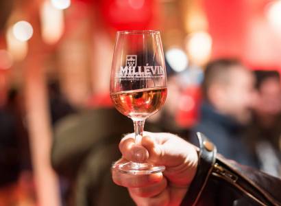 Millévin - Fête des Côtes du Rhône et du nouveau Millésime